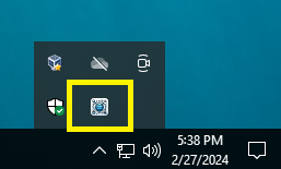 NetIP icon in the taskbar